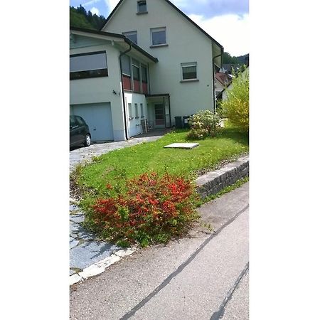Apartament Haus Marion Todtnau Zewnętrze zdjęcie