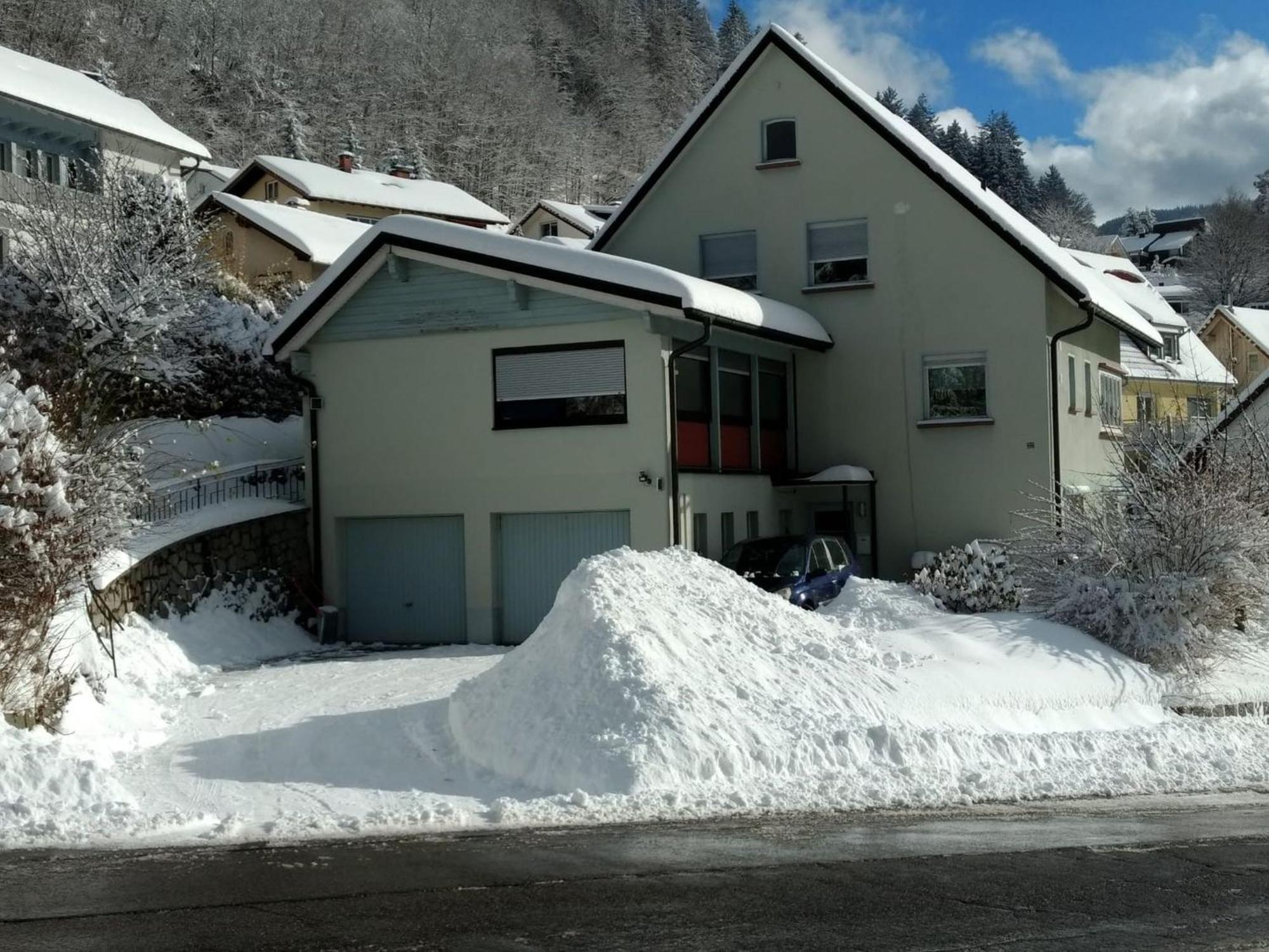 Apartament Haus Marion Todtnau Zewnętrze zdjęcie
